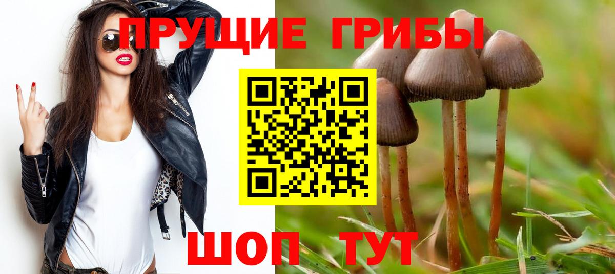 Псилоцибиновые грибы Psilocybe  Вход с VPN  Добрянка  Псилоцибиновые грибы Psilocybe 